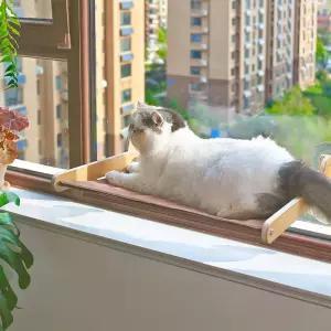 60파운드우드 호목 빅를 견딜 수 있는 대형 고양이와 위한 창문 퍼치 해목 특히 흡입 컵