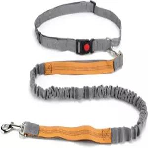 디파이라이프 핸즈 프리 개 목줄 접이식 듀얼 핸들 번지 달리기 걷기 훈련 하이킹 여행용 허리 러닝 벨트