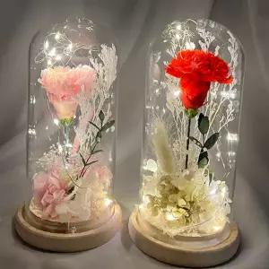 프리저브드 카네이션 무드등 소형 인테리어 조명 어버이날 스승의날 선물