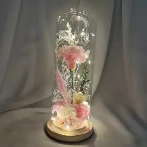프리저브드 카네이션 무드등 대형 인테리어 조명 어버이날 부모님 감사 선물