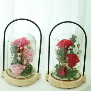 카네이션 장미 3송이 무드등 어버이날 부모님 생신 선물 인테리어 조명