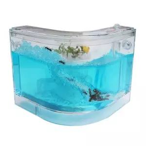 [원사안전] ㄱ자형 생태  개미 관찰 키트 키우기 곤충 교육용 관찰 (본품)