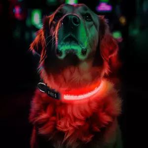 라이트 업 도그 칼라 충전식 어두운 곳에서 LED 글로우 3 플래시 모드로 야외 야간 보행 시 안전하게 볼 수