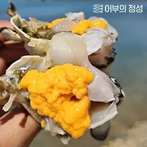 [어부의정성][어부의정성] 제철 급냉 암꽃게 알배기게 1kg (4-6미)