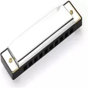 10 홀 20 톤 다이아토닉 하모니카 키 오브 C 블루 케이스 록 스테인리스 스틸 실버 컬러