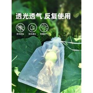 투명 돔텐트 PVC 텐트 사계절 8각3.6m 밤하늘텐트 3M 감성 대형3.6m 인용