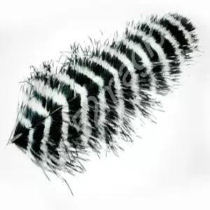 등장하는 지팡이와 사라진 마술 파티 놀라운 키트 로프 블랙 앤 화이트