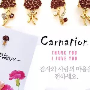어버이날 카네이션 브로치 용돈 봉투 편지 세트 부모님 감사 선물 코사지 뱃지
