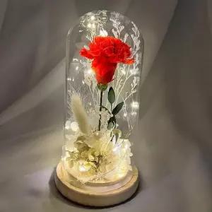 프리저브드 카네이션 무드등 소 레드 어버이날 스승의날 감사 조명 선물