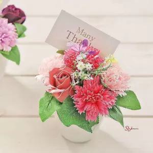 나비 비누꽃 카네이션 화분 핑크 어버이날pqr345