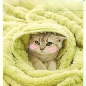 강아지담요 사계절용 고양이 침대 이불 쿠션 겨울