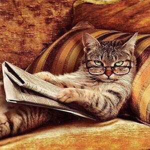 유리를 들고 있는 고양이 신문 모습 500/1000/1200/2000 PCS 직소 퍼즐 게임룸 침실 선물용 도전적인 가족