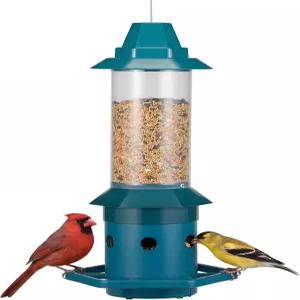 무게 조절 가능한 농어를 갖춘 킹야드 다람쥐 방지 새 모이통 야외용 야생 내후성 및 4파운드의 대형 종자