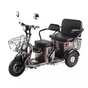 전동차 전동 장애인전동