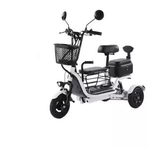 3인 세발 전기자전거 삼발이 충격흡수 3인승 인 여성