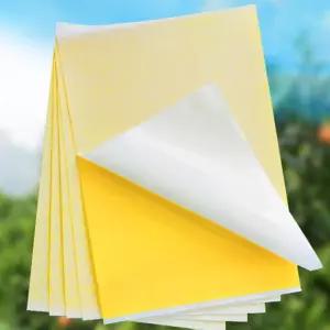 날파리 퇴치 초파리 트랩 초강력 벌레 끈끈이 양면용 파리트랩