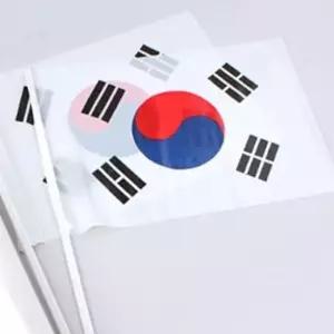 [SBD] 미니태극기 비닐태극기 삼일절태극기 태극기 비닐수기50개입 태극기깃발 체육대회깃발