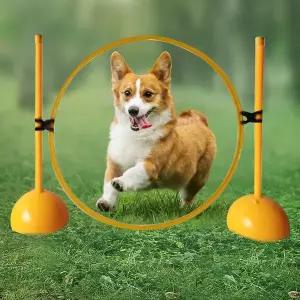 [RIZPICK]메디브멀티_벨리코 어질리티_소형견링_애견 장비 코스