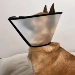 [RIZPICK]1호 찍찍이 강아지 둘레 47cm 고양이 넥카라 깔대기