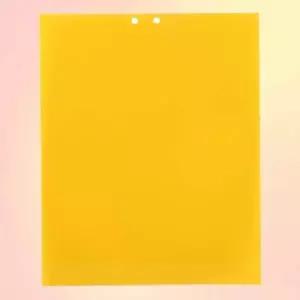 제이제이컴퍼니 초파리 퇴치 끈끈이 테이프 날파리 트랩 초강력 양면