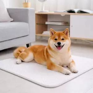 크라이오넥스 강아지 고양이 반려동물 쿨매트 중대형 60x70cm)