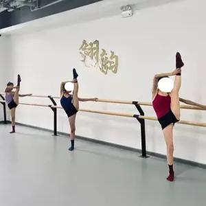 바닥형 발레바 고정식 무용봉 2단 바닥 기구 플로어 브라켓 학교 연습용