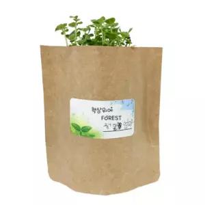 초등생 방학생활 새싹키우기 세트 1인용 미술학원 단체수업 어르신만들기 돌봄교실