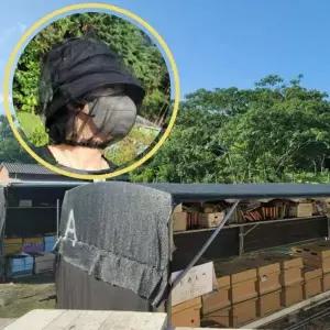 블랙 방충망 낚시모자 얼굴 방충 모기장 낚시용 모기 차단 모자