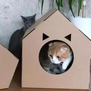 [반려] 고양이 숨숨집 사각형 고양이집만들기 고양이종이하우스 실내고양이집