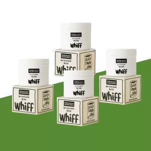 위프 WHIFF 300g 4입 대량구성 새집증후군 베이크아웃 냄새제거 탈취제