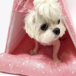 [반려] 강아지 하우스 레드 애완견하우스 강아지텐트하우스 소형강아지집