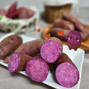 자색고구마-대 10kg