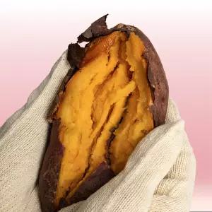 호풍미 호박고구마 중상(50-120g) 5kg