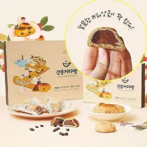 강릉 커피빵 강원도 앙꼬선물 특산물 12개입 커피콩빵nop483