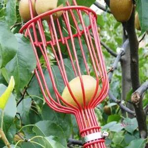 과일피커 농장 사과 따기 바구니 캐처 복숭아 정원yza939