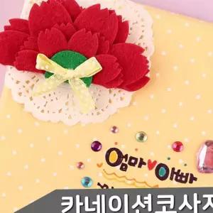 펠트 코사지 핸드메이드 카네이션 재료 코사지 만들기 감사 스승의날 어버이 어린이 브로치 리본 키트 공예