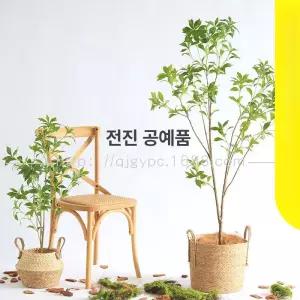 피키피킷 인테리어 조화 인테리어조화