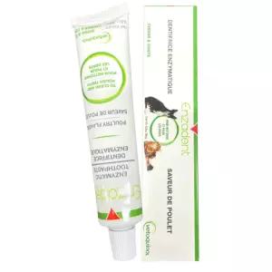 [베토퀴놀] 엔자덴트 엔지메틱 투스페이스트 닭고기맛 효소 치약 90g