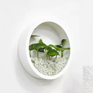 다육 식물용 둥근 걸이식 벽 화분 작은 선인장 집 장식