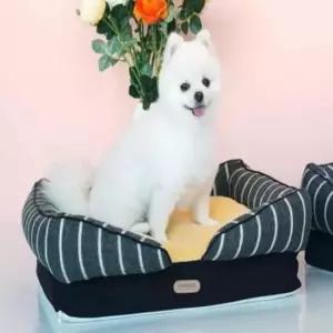 [반려] 반려동물 베드 옐로우그레이 개방석 강아지사각방석 강아지쿠션방석