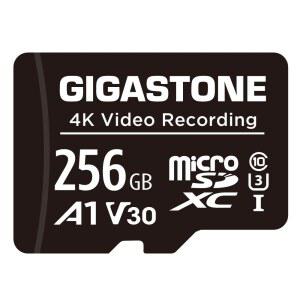 기가스톤 256GB SD 카드 A1 V30 1팩, 풀 HD 비디오, 감시 캠 액션 카메라 드론, 100MB/s SDHC 클래스 10