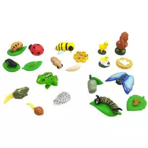 동물 곤충 성장과정 자연과학 모형 5종세트 피규어 어린이날선물 집콕놀이