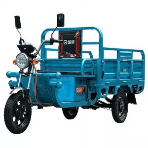 전기 삼륜차 운반 차량 차 속도계 주행 박스 적재차