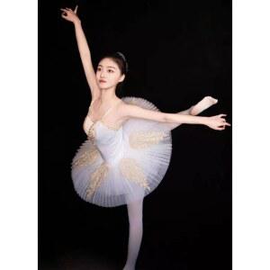 발레 드레스 발레리나 핑크화이트 d ss 슈트 스판덱스 생일 레드 의류 내장 투투스