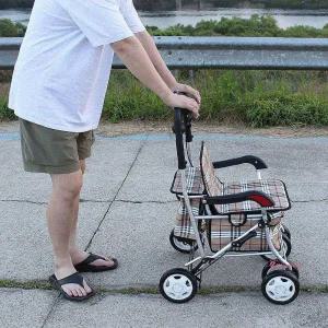 베스타 할머니 보행기 노인 실버카 유모차 보행보조차abc750