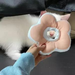 [반려] 넥카라 쿠션 강아지 고양이 깔대기 꽃 핑크