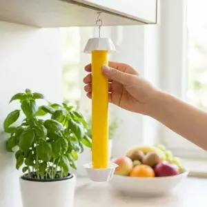 1초파리 퇴치 날파리 트랩 끈끈이 파리 벌레 트랩 화랑곡나방 뿌리파리 나방 플라이 스틱 화분 해충 하우스