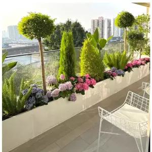 바퀴달린 화분 묘목 포트화분 화초가꾸기 인테리어