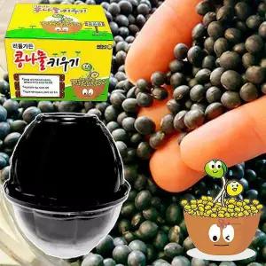 국산 가정용콩나물 콩나물키우기 재배기 키트ssu326