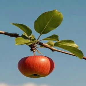 BMW 호환 호환 E60 2006 2008-2010용 프론트 후드 엔진 소음 단열 코튼 패드 방음 매트  51487148208